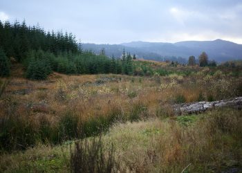 A day in the Trossachs.