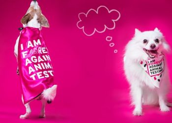 Campaigning against animal vivisection